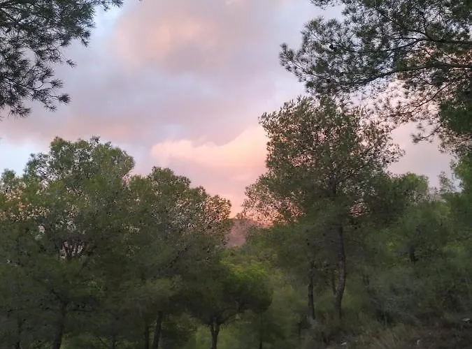 Apartamento 1 Pasaje Fuente De Cantarero